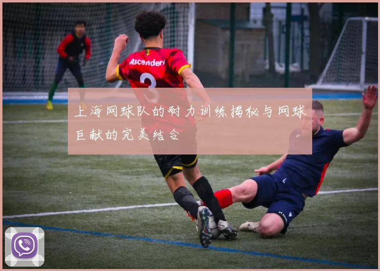 上海网球队的耐力训练揭秘与网球巨献的完美结合