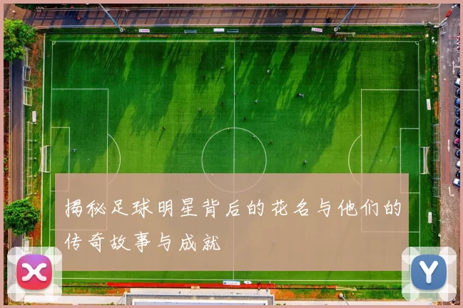 揭秘足球明星背后的花名与他们的传奇故事与成就