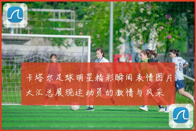 卡塔尔足球明星精彩瞬间表情图片大汇总展现运动员的激情与风采