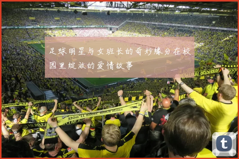 足球明星与女班长的奇妙缘分在校园里绽放的爱情故事