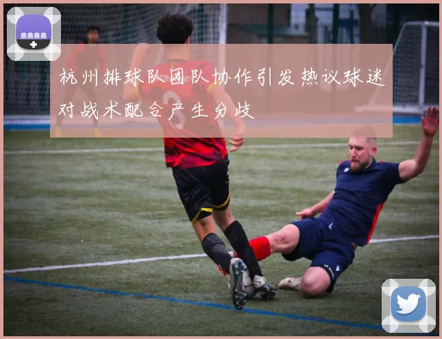 杭州排球队团队协作引发热议球迷对战术配合产生分歧