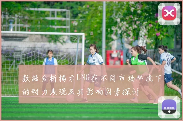 数据分析揭示LNG在不同市场环境下的耐力表现及其影响因素探讨
