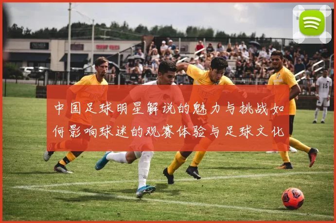 中国足球明星解说的魅力与挑战如何影响球迷的观赛体验与足球文化发展