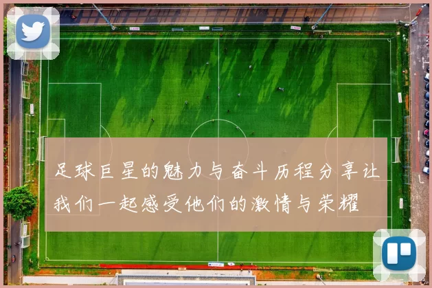 足球巨星的魅力与奋斗历程分享让我们一起感受他们的激情与荣耀