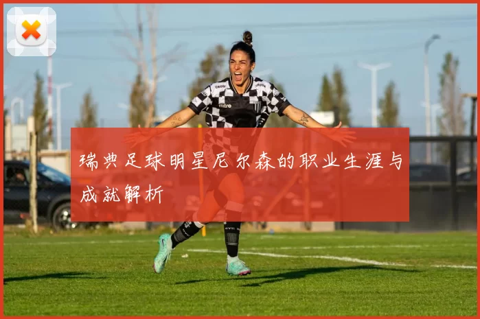 瑞典足球明星尼尔森的职业生涯与成就解析