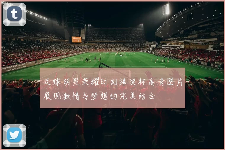 足球明星荣耀时刻捧奖杯高清图片展现激情与梦想的完美结合