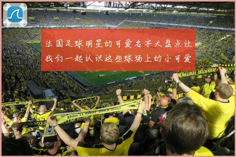 法国足球明星的可爱名字大盘点让我们一起认识这些球场上的小可爱