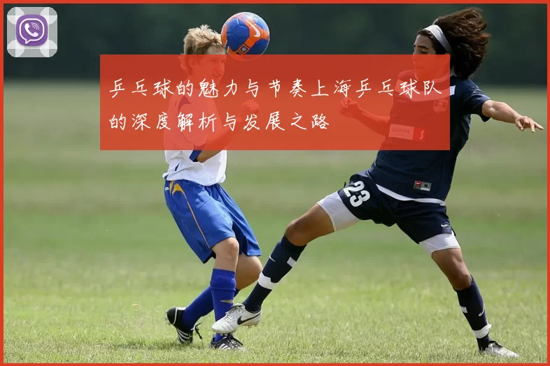 乒乓球的魅力与节奏上海乒乓球队的深度解析与发展之路