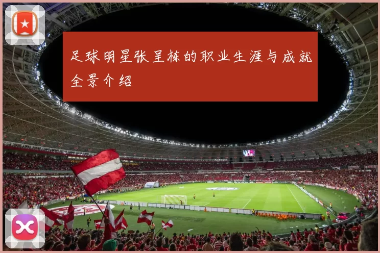 足球明星张呈栋的职业生涯与成就全景介绍