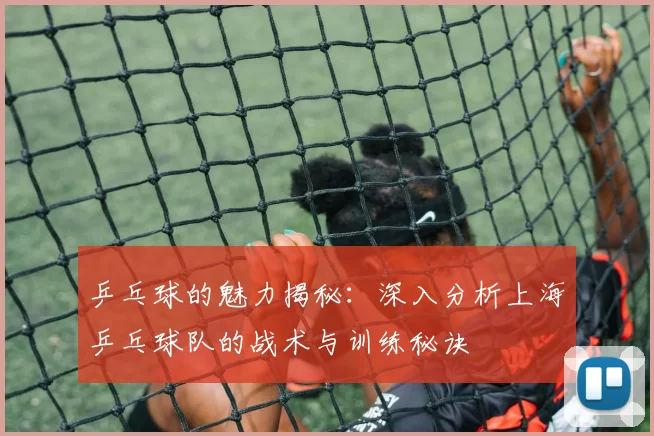 乒乓球的魅力揭秘：深入分析上海乒乓球队的战术与训练秘诀