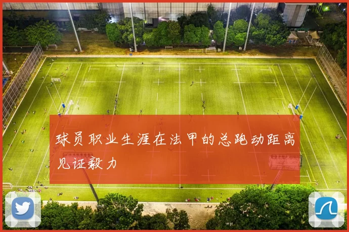 球员职业生涯在法甲的总跑动距离见证毅力