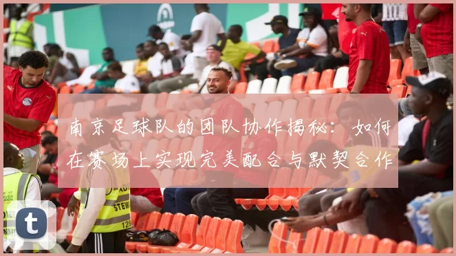 南京足球队的团队协作揭秘：如何在赛场上实现完美配合与默契合作
