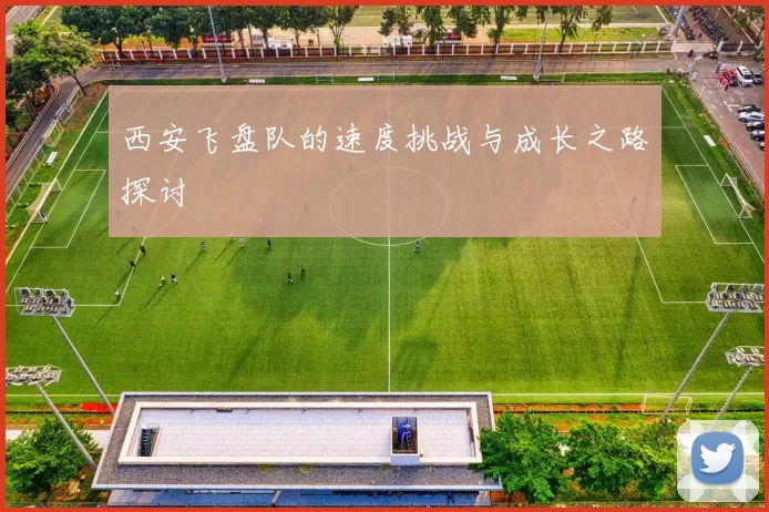 西安飞盘队的速度挑战与成长之路探讨
