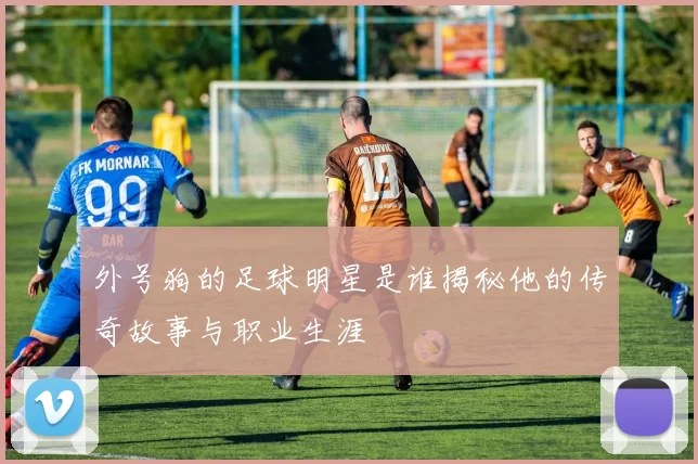 外号狗的足球明星是谁揭秘他的传奇故事与职业生涯