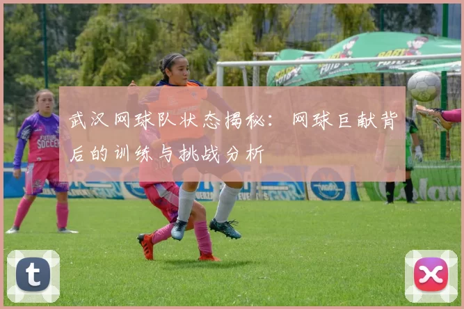武汉网球队状态揭秘：网球巨献背后的训练与挑战分析