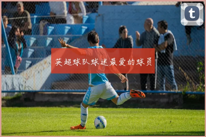 英超球队球迷最爱的球员