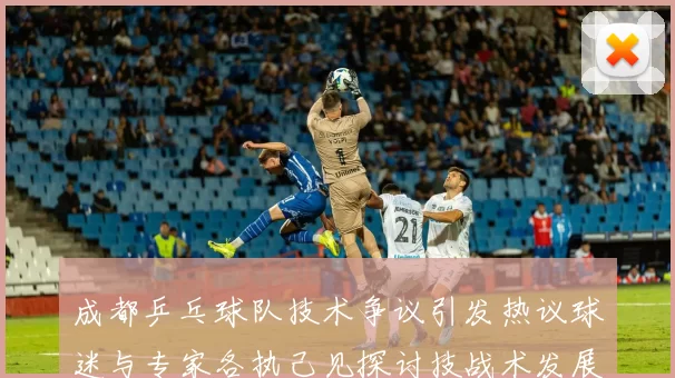 成都乒乓球队技术争议引发热议球迷与专家各执己见探讨技战术发展