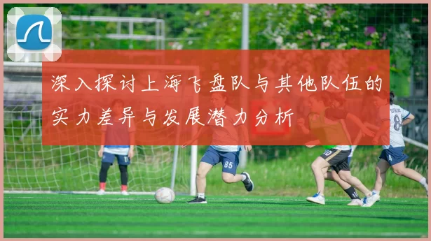 深入探讨上海飞盘队与其他队伍的实力差异与发展潜力分析