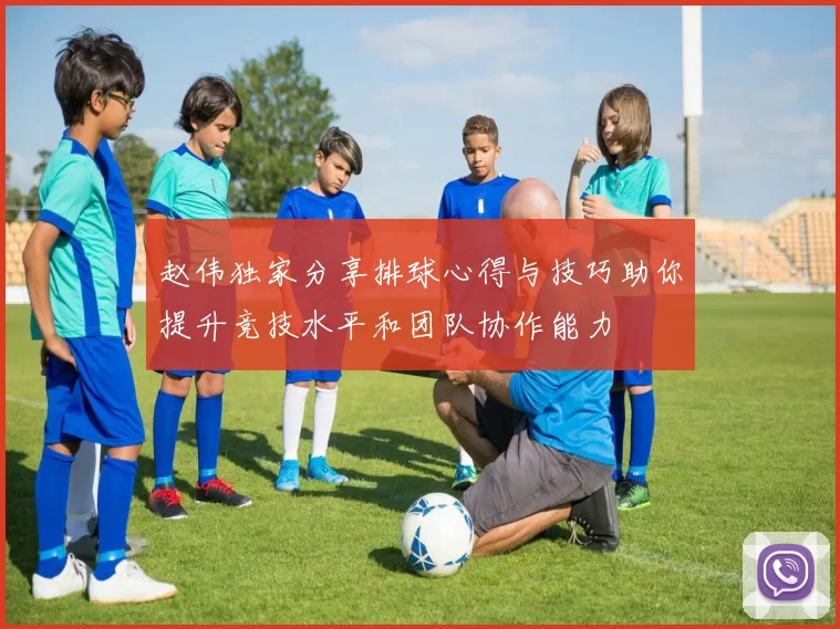 赵伟独家分享排球心得与技巧助你提升竞技水平和团队协作能力
