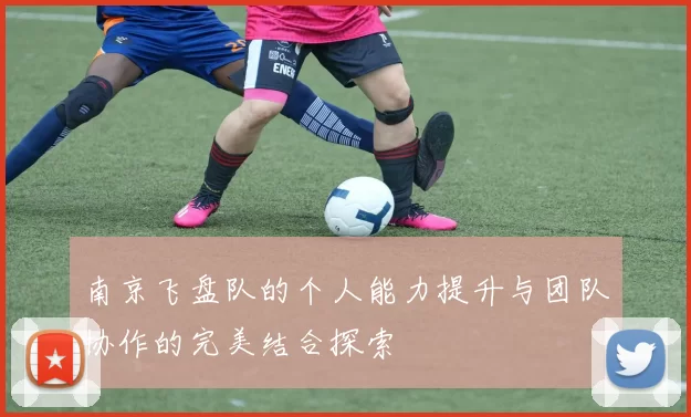 南京飞盘队的个人能力提升与团队协作的完美结合探索