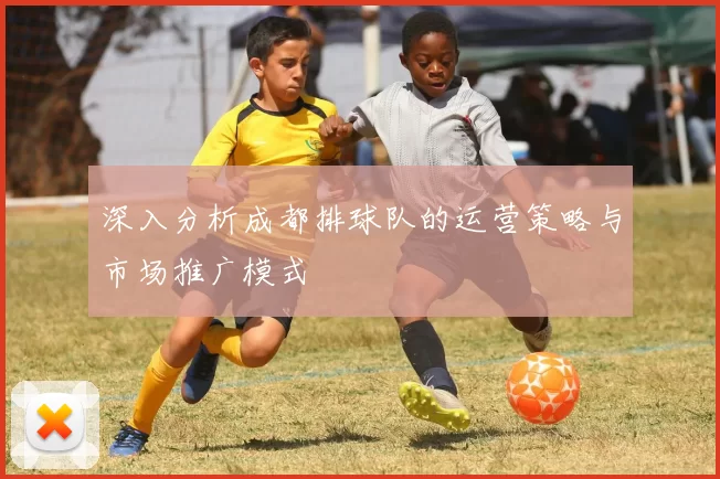深入分析成都排球队的运营策略与市场推广模式