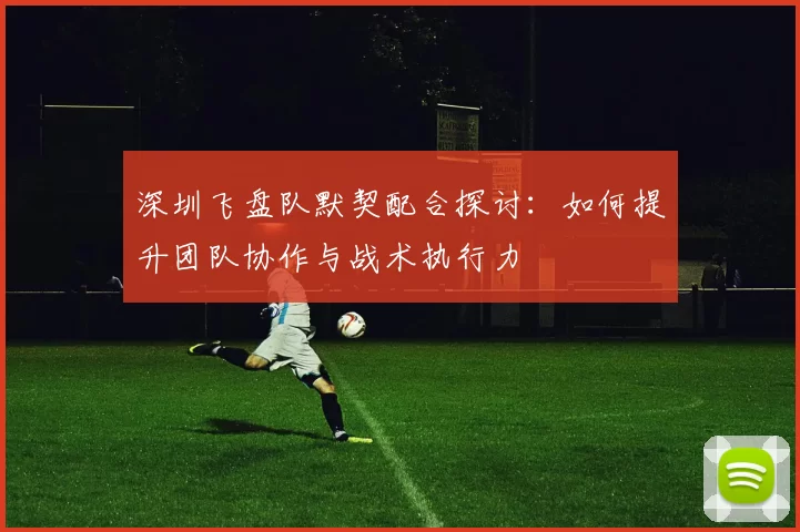 深圳飞盘队默契配合探讨：如何提升团队协作与战术执行力