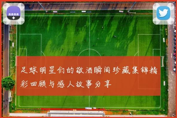 足球明星们的敬酒瞬间珍藏集锦精彩回顾与感人故事分享