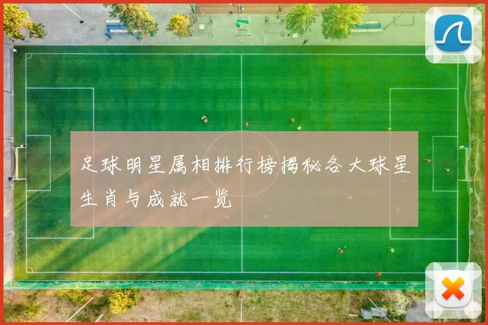 足球明星属相排行榜揭秘各大球星生肖与成就一览