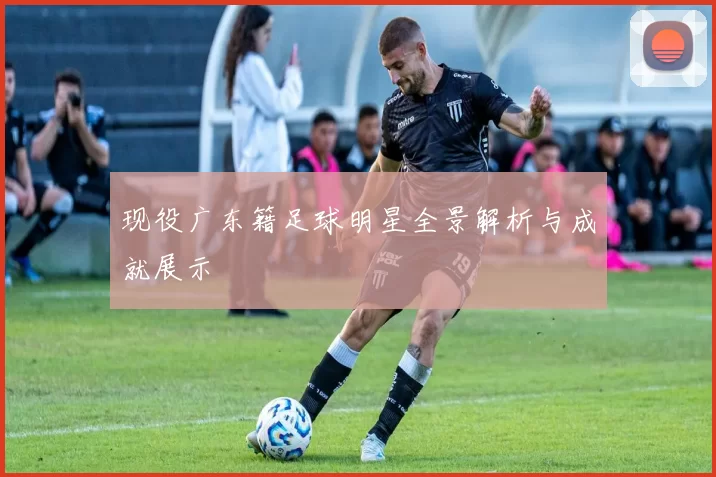 现役广东籍足球明星全景解析与成就展示