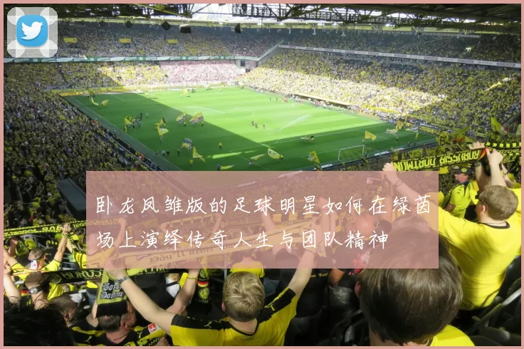 卧龙凤雏版的足球明星如何在绿茵场上演绎传奇人生与团队精神